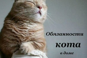 Обязанности кота по дому