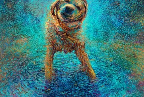 Рисунки пальцами