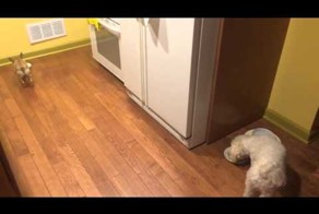 Бонни ненавидит есть в одиночестве