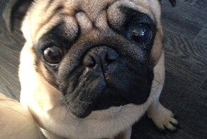 25 вещей, на которые вы уже не сможете смотреть по-прежнему