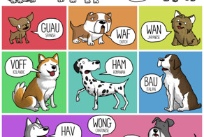 Nyan вместо «мяу», meong вместо «гав»: звукоподражание в разных языках