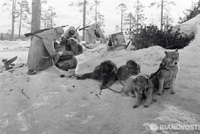 Редкие фотографии Великой Отечественной войны