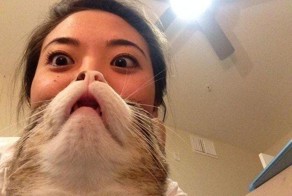 Просто прикольное фото