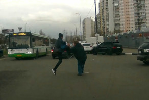 Петухи на дороге