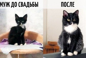 9 фотографий о том, как меняется жизнь после свадьбы