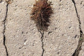 Смешные рисунки