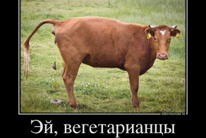 Есть или не есть? Или мое отношение к веганам
