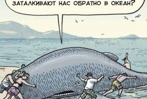 Смешные картинки