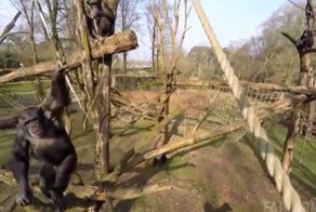 Лучшие фейлы прошедшей недели