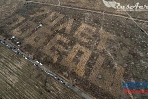 Воронежцы высадили 12 тысяч сосен в виде надписи «70 лет Победы»