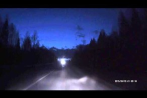 Сбил зверушку