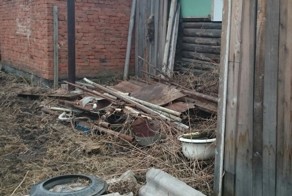 Кошка застряла в заборе