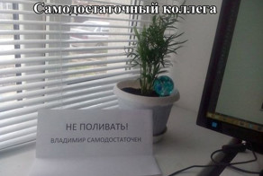 Позитивная фотоподборка