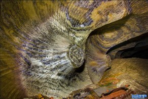 Психоделическая пещера