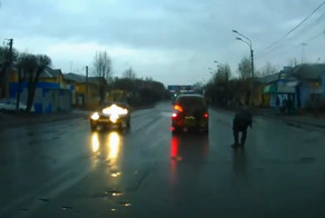 Слепошарый водитель минивена