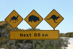 Самые необычные дорожные знаки мира