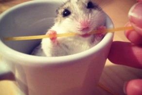 Прикол картинка