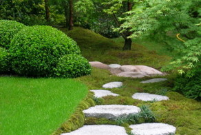 10 самых частых ошибок при благоустройстве участка