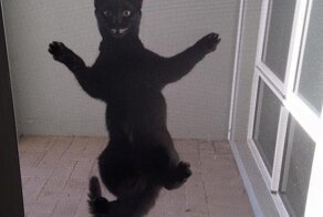 Кто-то счастлив, что я дома