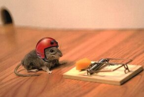 5 историй с моралью