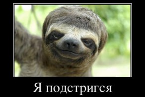 Подборка  демотиваторов