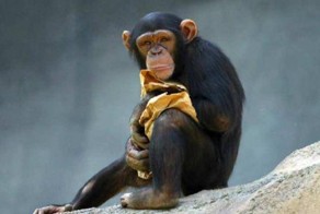 Даже незнаю как реагировать, новость так  новость