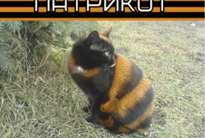 Харьковских ветеранов попросили не одевать георгиевские ленточки...