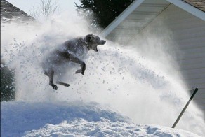 Новый фотоприкол