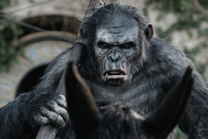 Обезьяны эволюционируют в людей прямо сейчас