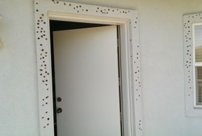 Дом после атаки дятлов