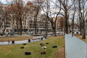 "Послеобеденный сон"