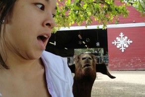 Прекрасные фото