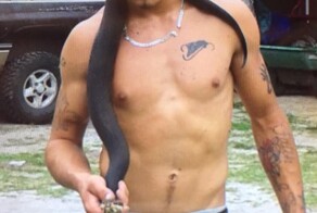 Почему не стоит целоваться с ядовитыми змеями