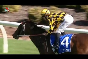 Жокей штаны потерял