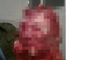 Когда скульптор попадает в армию