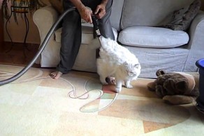 Все мужчины делают это