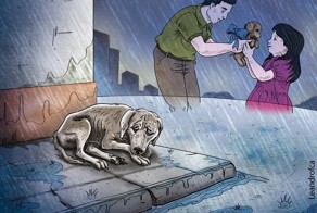 Прикольные фото