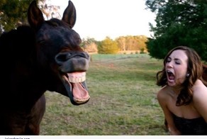 Приколы, подборка