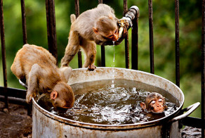 Что такое дружба