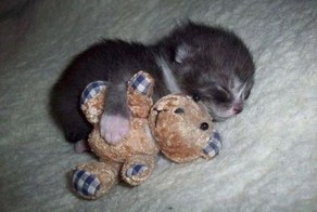 Позитив дня! Тогда и сейчас 