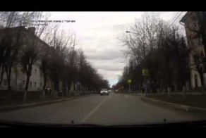 Выбежала под машину