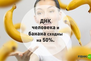 22 невероятных факта, которых вы не знали