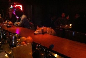 Смешные картинки