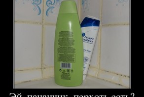 Подборка  демотиваторов