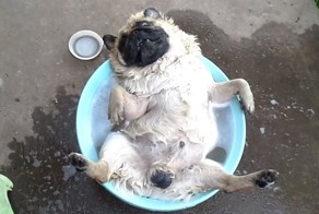 Водная релаксация