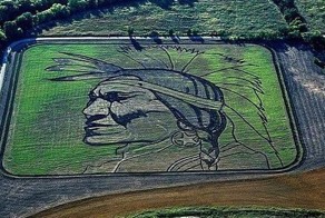 Рисунки на полях от американского художника Стэна Херда