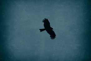 Мысли в слух "Ностальгия или ночь без сна"