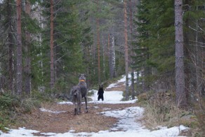 Фотоподборка за 28.04.2015