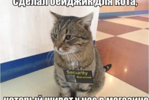 Смешные картинки с надписями