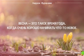 27 важных цитат Харуки Мураками